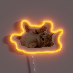 Cat RGB Neon Sign