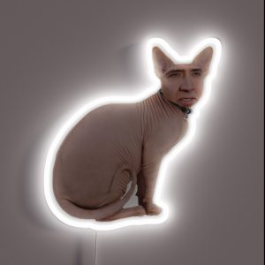 Cat RGB Neon Sign