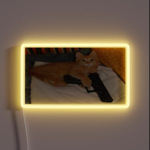 CAT WITH A GUN RGB Neon Sign CAT WITH A GUN RGB Neon Sign