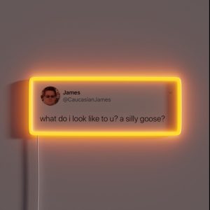 Caucasian James Tweet RGB Neon Sign