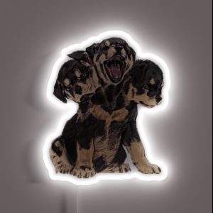 CERBERUS RGB Neon Sign