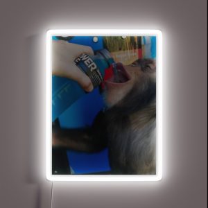 Chimp Drinking Powerade RGB Neon Sign