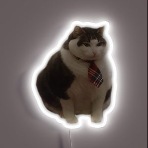 Chonky Smart Boi RGB Neon Sign