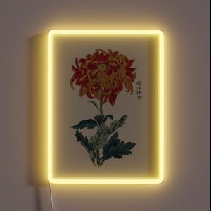 Chrysanthemum Antique Japanese Botanical Illustration RGB Neon Sign Chrysanthemum Antique Japanese Botanical Illustration RGB Neon Sign
