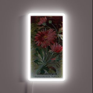 Chrysanthemum Chrysanthemum Indicum RGB Neon Sign