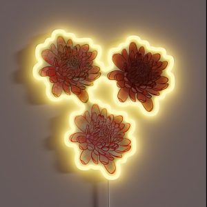 Chrysanthemum Flowers In Pink And Orange With Black Background RGB Neon Sign Chrysanthemum Flowers In Pink And Orange With Black Background RGB Neon Sign