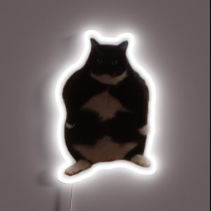 Chubby Cat RGB Neon Sign Chubby Cat RGB Neon Sign