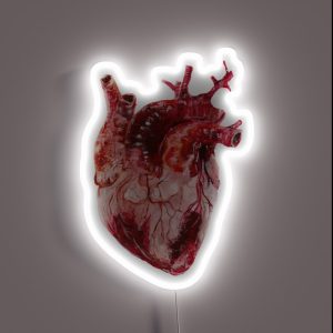 Coeur Anatomique RGB Neon Sign