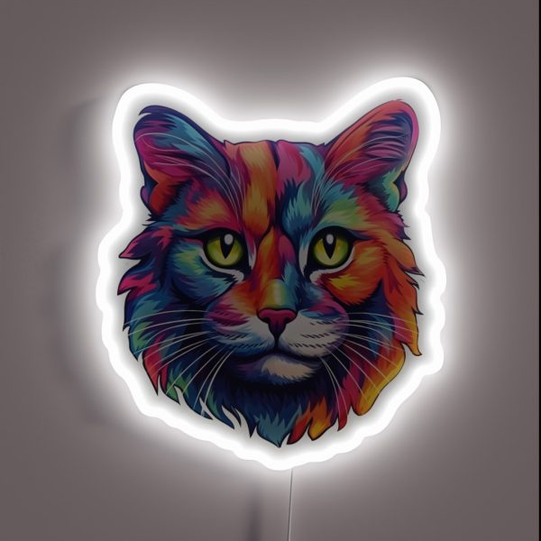 Colorful Cat Cool Cat RGB Neon Sign