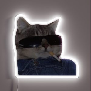Cool Cat RGB Neon Sign