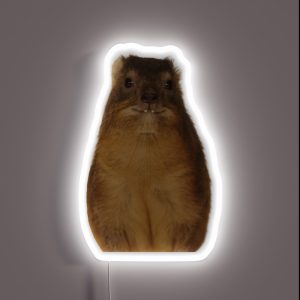 Copy Of Rock Hyrax Photo Dassie Cute Vampire Potato RGB Neon Sign