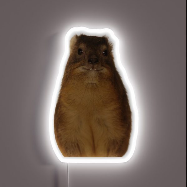 Copy Of Rock Hyrax Photo Dassie Cute Vampire RGB Neon Sign