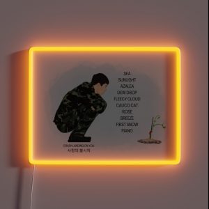 Crash Landing On You Ten Nice Words RGB Neon Sign