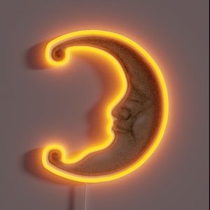 Crescent Moon RGB Neon Sign