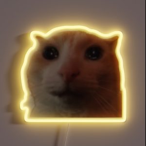 Crying And Sad RGB Neon Sign
