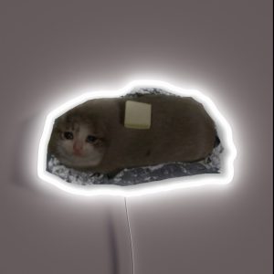 Crying Baked Potato Cat RGB Neon Sign