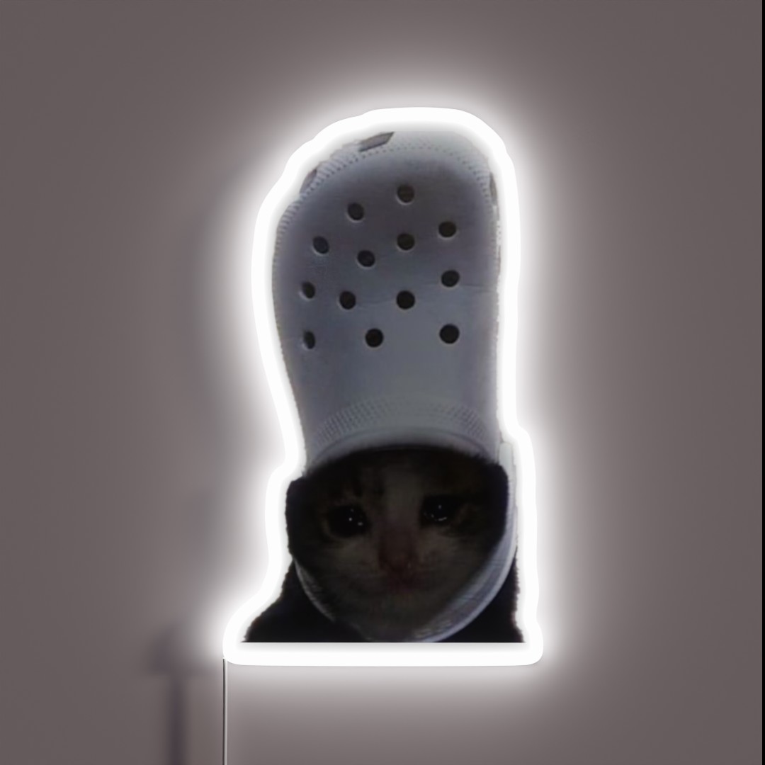 Crying Cat Croc Meme RGB Neon Sign Crying Cat Croc Meme RGB Neon Sign