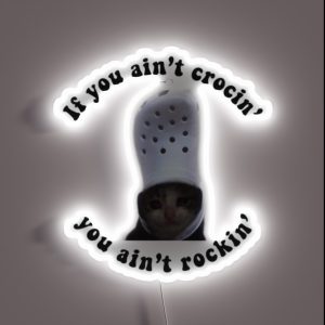Crying Cat In A Croc RGB Neon Sign