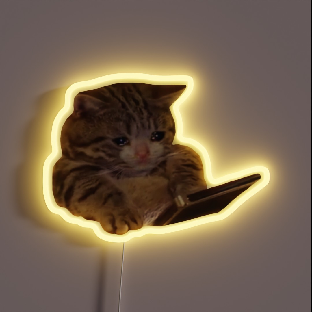 Crying Cat Meme 3 RGB Neon Sign Crying Cat Meme 3 RGB Neon Sign