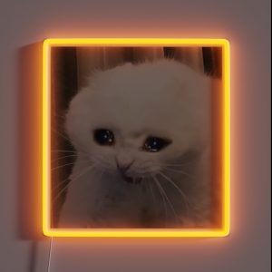 Crying Cat Meme RGB Neon Sign