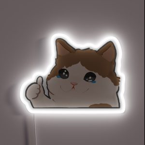 Crying Cat Meme RGB Neon Sign