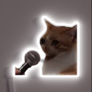 Crying Cat Microphone Meme Crying Cat Meme Crying Cat Microphone Meme Cat Meme Crying Cat Crying Cat Speech RGB Neon Sign