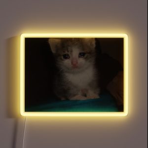 Crying Cat RGB Neon Sign
