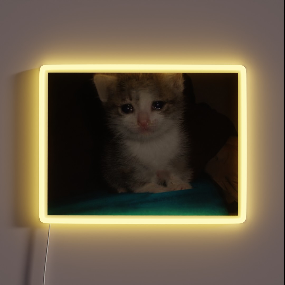 Crying Cat RGB Neon Sign Crying Cat RGB Neon Sign