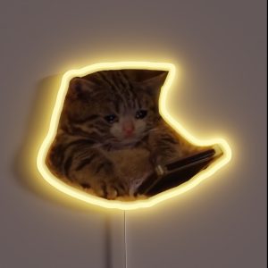 Crying Cat RGB Neon Sign