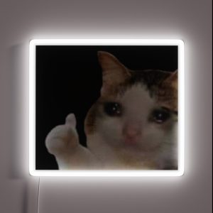 Crying Cat Thumbs Up Meme RGB Neon Sign