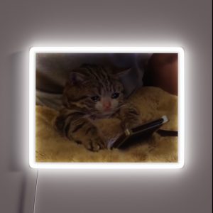 Crying Cat With Phone RGB Neon Sign