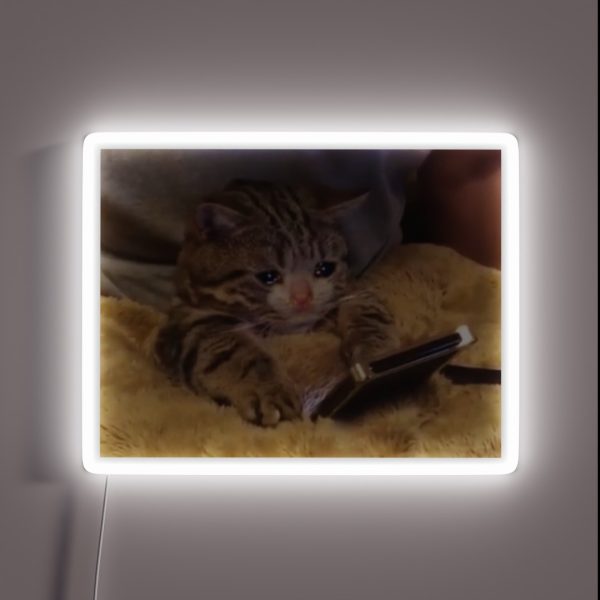 Crying Cat With Phone RGB Neon Sign