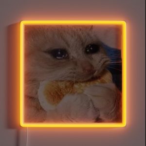 Crying Cookie Cat Meme Funny Meme RGB Neon Sign
