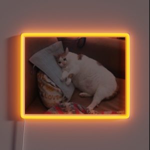 Crying Fat Cat RGB Neon Sign