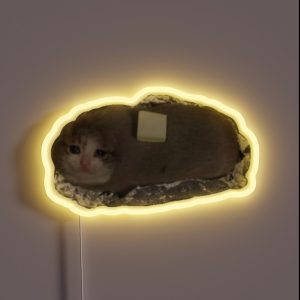 Crying Potato Cat With Butter Crying Cat Meme RGB Neon Sign