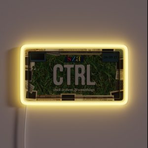 Ctrl Sza License Plate RGB Neon Sign