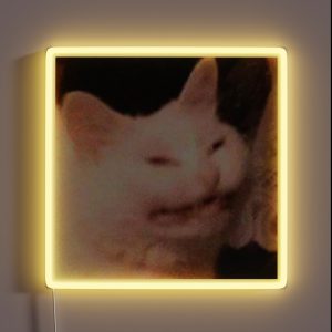 Cursed Cat Meme RGB Neon Sign