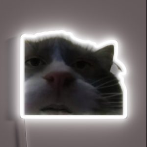 Cursed Cat Meme RGB Neon Sign