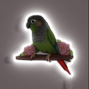 Cute Conure RGB Neon Sign