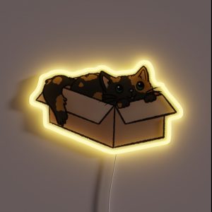 Cute Tortie Cat In A Box RGB Neon Sign Cute Tortie Cat In A Box RGB Neon Sign