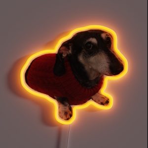 Dachshund In Sweater RGB Neon Sign Dachshund In Sweater RGB Neon Sign