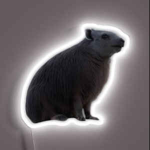 Dassie Hyrax RGB Neon Sign Dassie Hyrax RGB Neon Sign