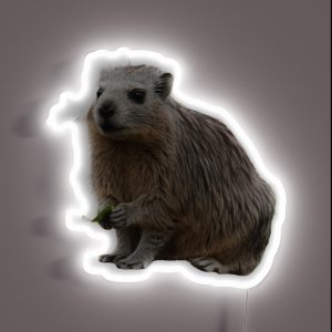 Dassie Hyrax RGB Neon Sign Dassie Hyrax RGB Neon Sign