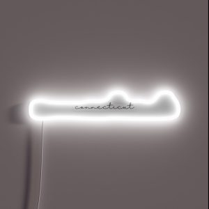 Delicate Connecticut Font RGB Neon Sign
