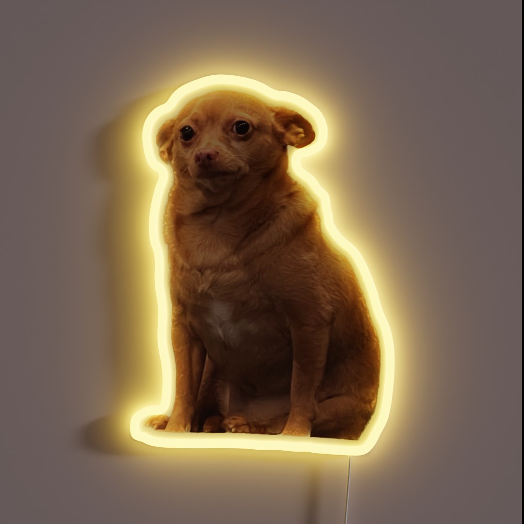 Disappointed Mouse RGB Neon Sign Disappointed Mouse RGB Neon Sign