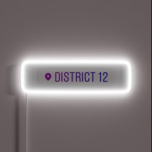 District 12 Instagram Location Tag RGB Neon Sign