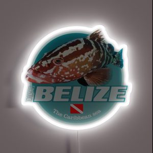 Dive Belize DD2 RGB Neon Sign Dive Belize DD2 RGB Neon Sign