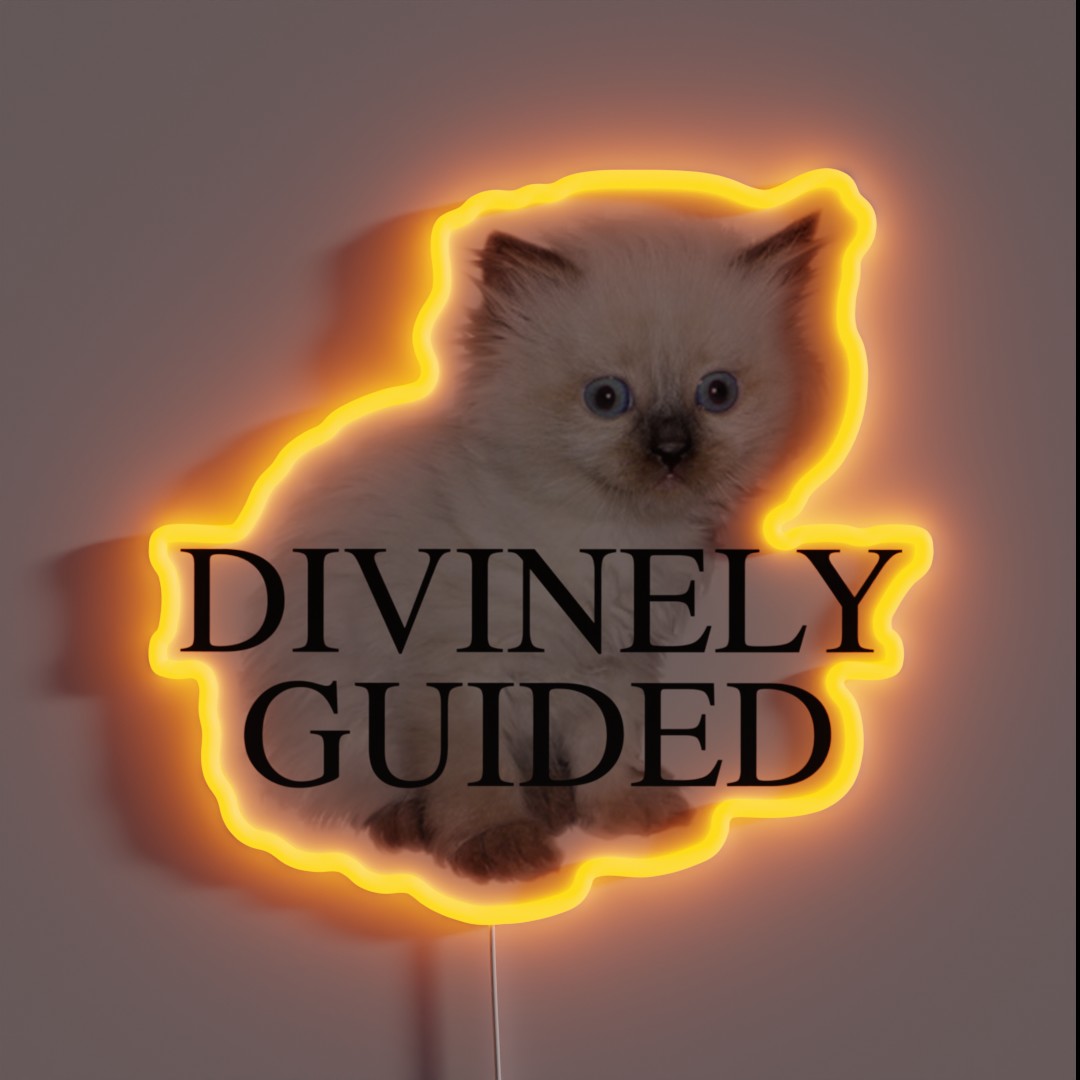DIVINELY GUIDED KITTEN RGB Neon Sign DIVINELY GUIDED KITTEN RGB Neon Sign