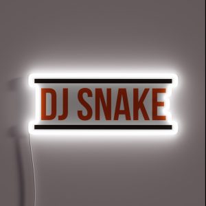 DJ SNAKE Logo Red RGB Neon Sign