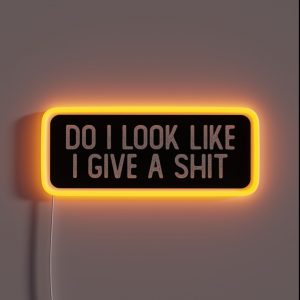 Do I Look Like I Give A Shit Funny Biker RGB Neon Sign
